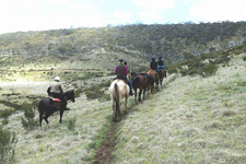 Australia-NSW-Kosciuzsko Park Ride